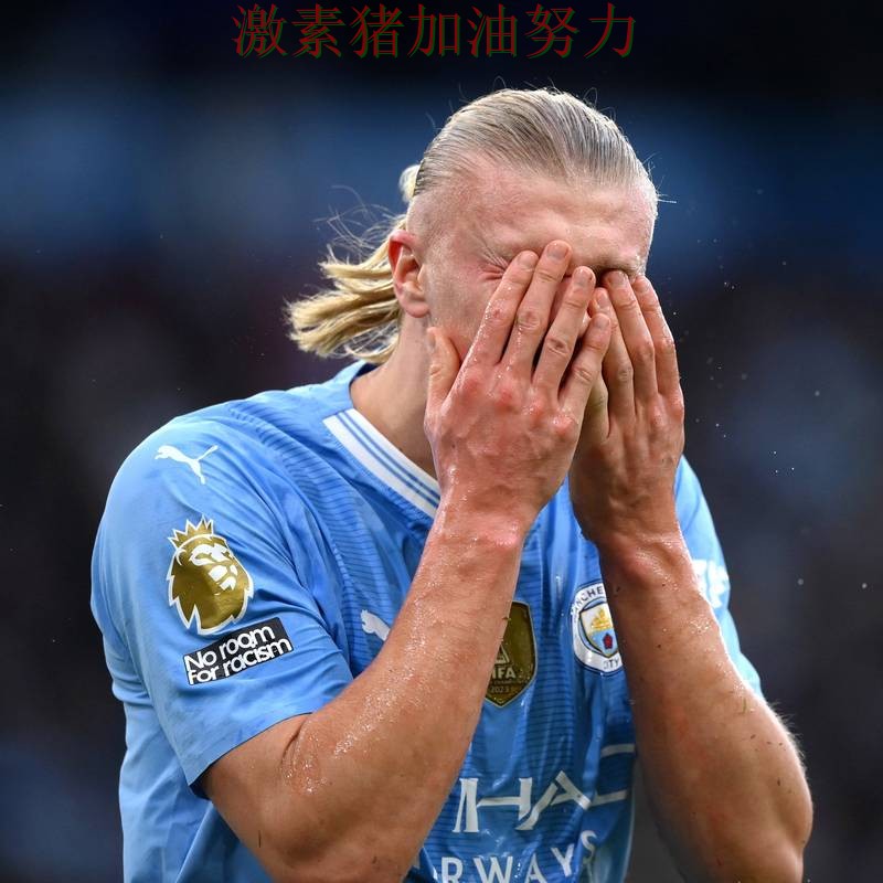 哈兰德连续破门球迷情绪彻底被点燃